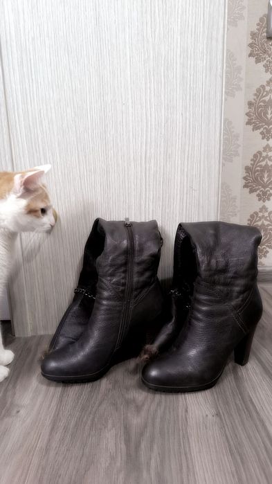продам ботфорты женские