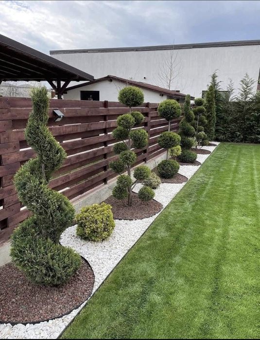 Plante ornamentale de gradina