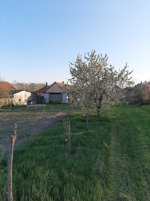 Teren 2000 mp cu front mare, + casa cu utilitati Biharkeresztes