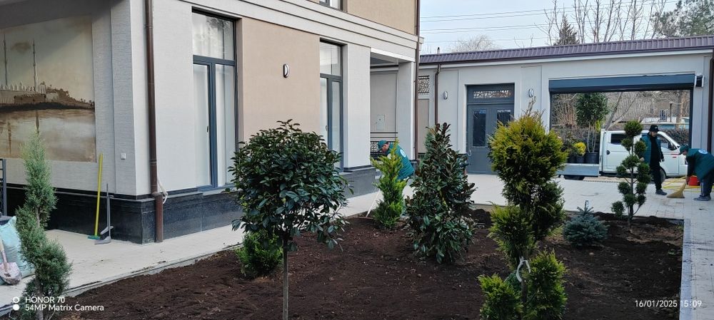 Yangi O'zbekiston bog'i