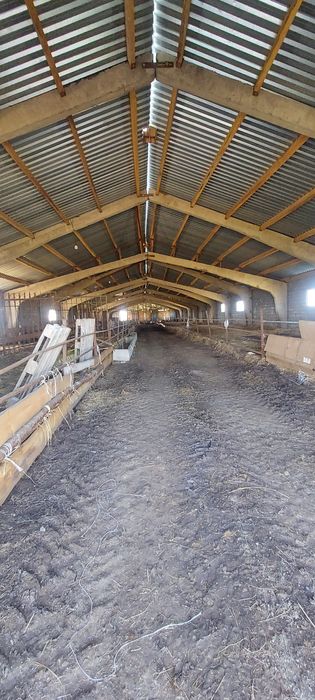 шаруашылық сатылады, продам хозяйство