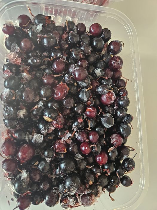 Ягоды замороженные