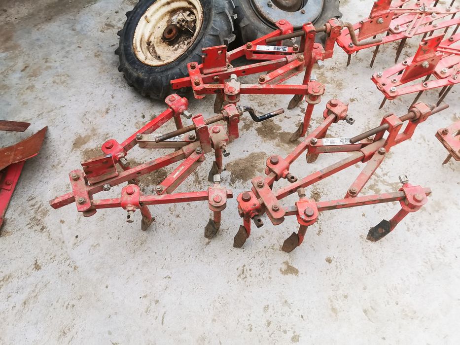 Vand plud reversibil grapa cultivator