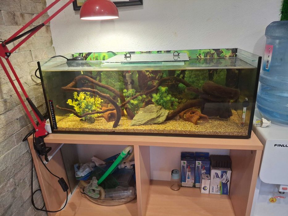 Три аквариума комплект с рибки