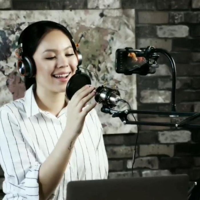 Держатель для микрофона с поп фильтром крепление сотового пантограф