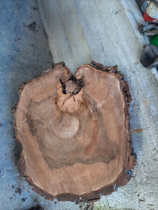 Blaturi nuc pentru mese de cafea   / rondele nuc, mesteacan , arin