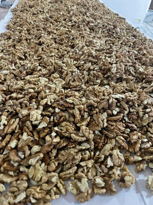 Vand miez de nucă anul 2025 foarte gustoasa pret 45 lei kg