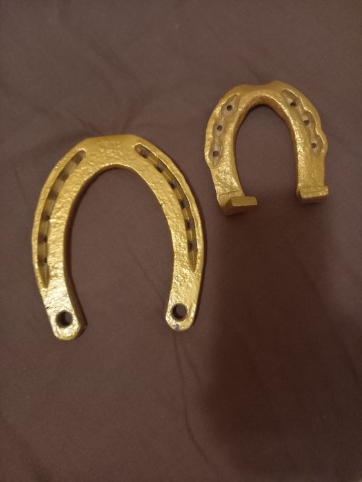 Късметлийска подкова