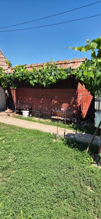 Casă la țară de vânzare – Șilea, Alba