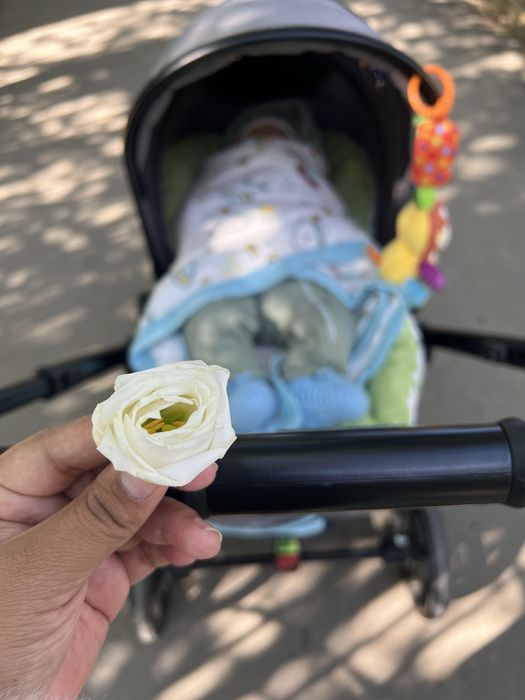 Коляска для прогулки.