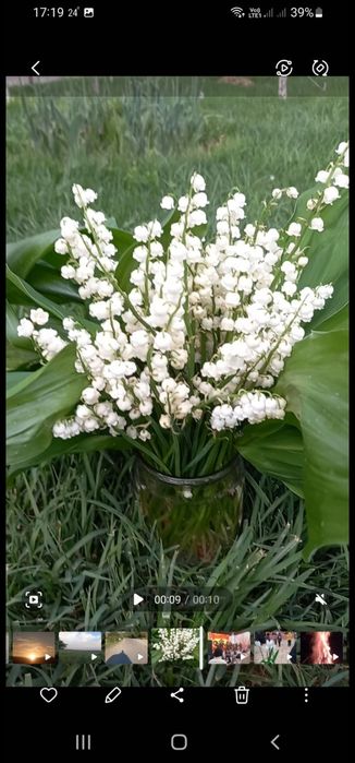 Сирень букеты Ландыши