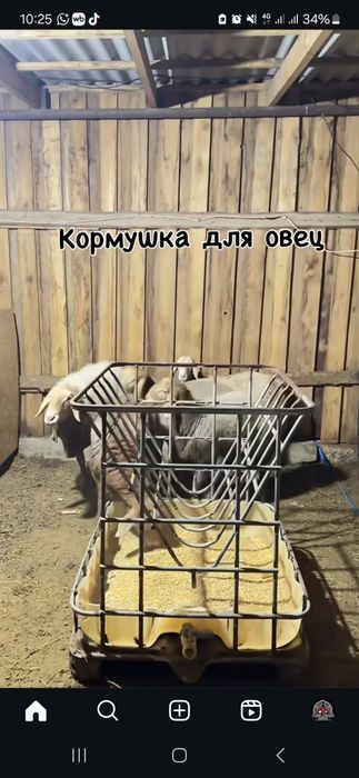 Продам кубовку еврокуб ёмкость бочка тара