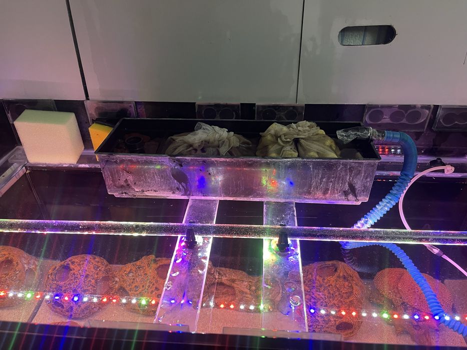 Akvarum sotiladi 300 litrli