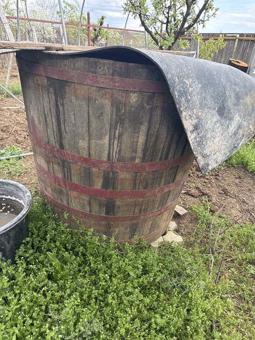 Cada vinificatie lemn stejar 800l