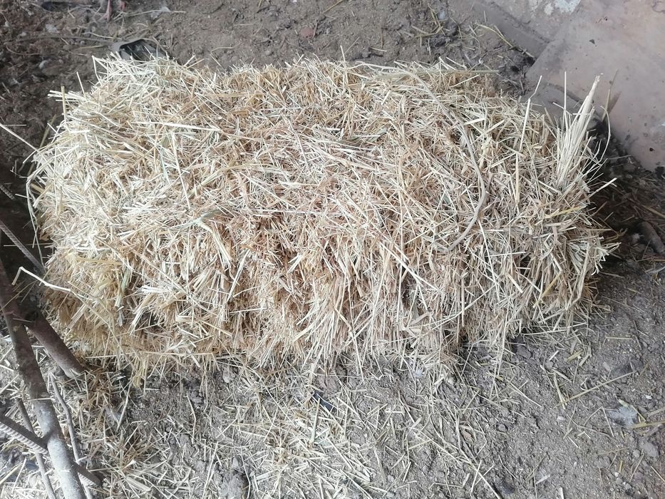 Пресс качественный большой!