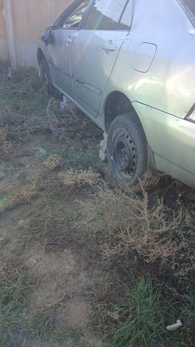 Прадам   Toyota corolla