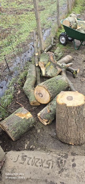 Продавам орехови трупчета / метровки