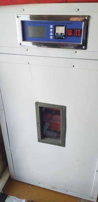 Inkubator. инкубатор. incubator