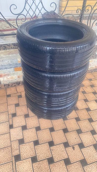 Byd chempion radnoy balon