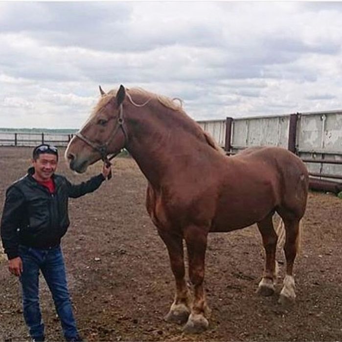 Ануста көпіршік