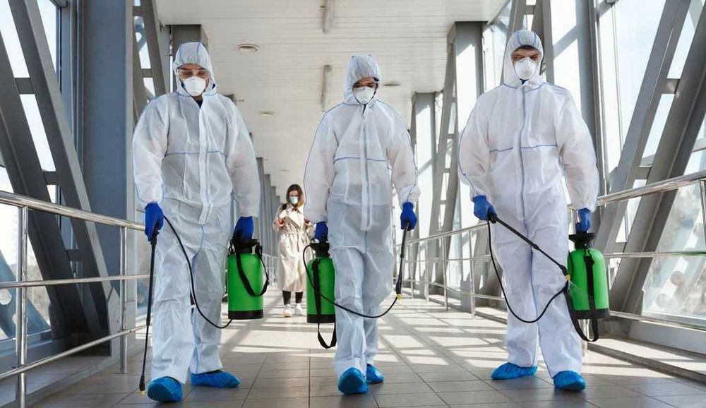 Dezinfeksiya Dizinfeksiya klopa klapa tarakan дезинфекция клопов тарак