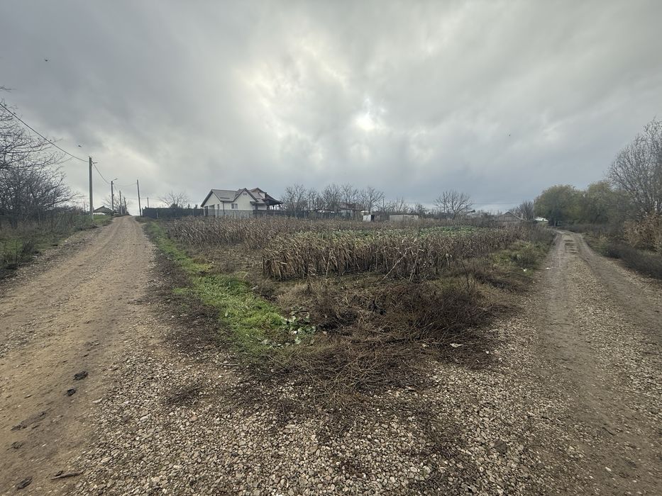 Proprietar Teren 1.001 Mp ileana Calarasi