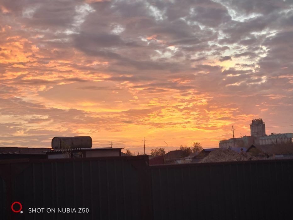 ZTE Nubia Z50 12/256