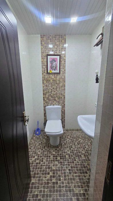 Алайский, Ц-2, 4/3/9 (LY)