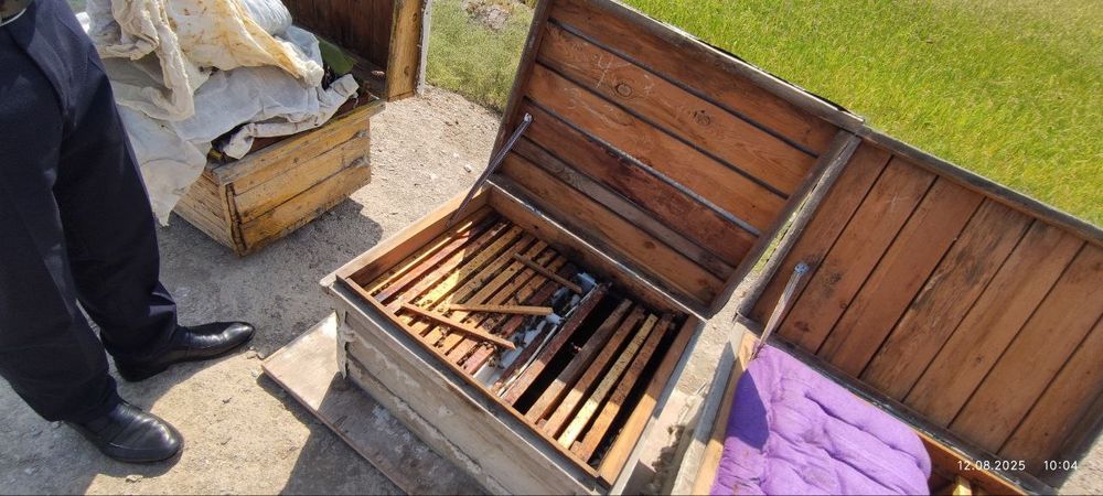 Asalari oilasi sotiladi