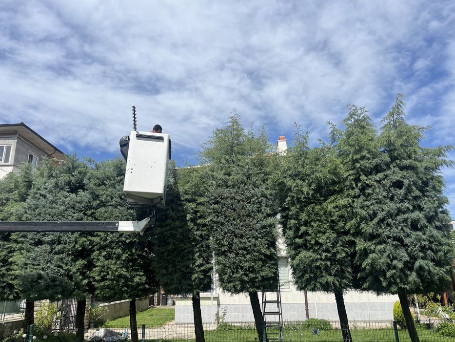 Косене на трева, оформяне на храсти и премахване на дървета