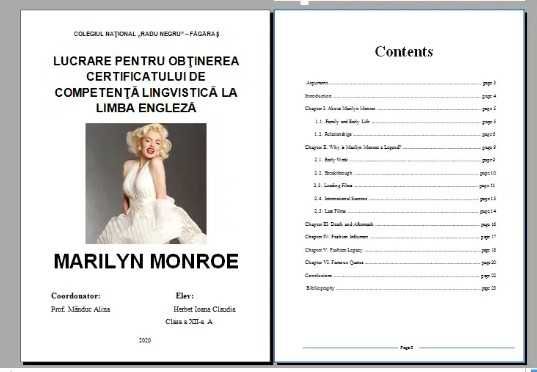 Realizez atestat engleza personalizat - orice tematică