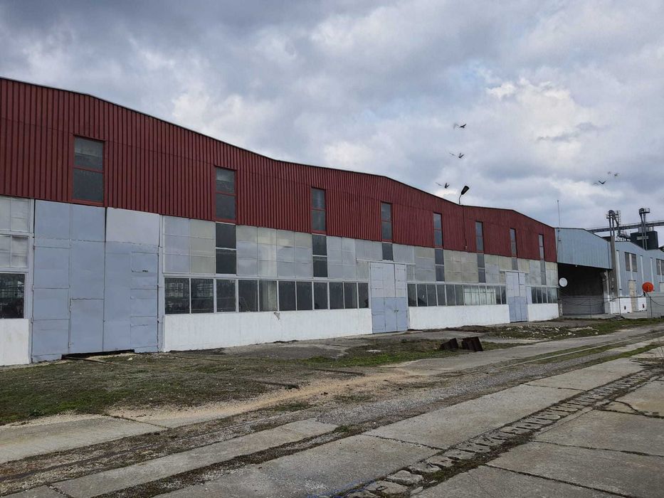 Hale Productie/Depozitare de inchiriat pentru diverse afaceri/activități + Cheu Propriu pe Dunăre | Acces Barje & TIR (preturi de la 1 Euro/mp)