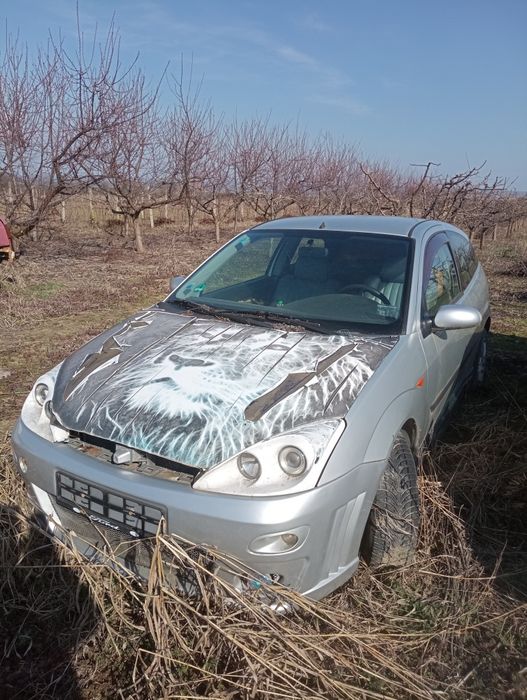 Focus 1 coupe radiat