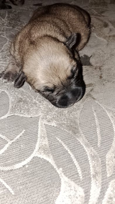 Открыта бронь ..