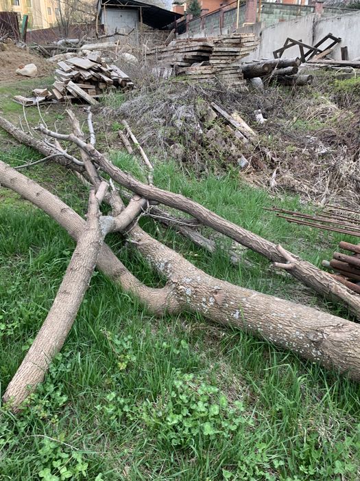 Сухие дрова