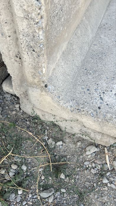Bepul beton devor