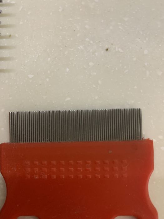 Расческа для кошек и собак