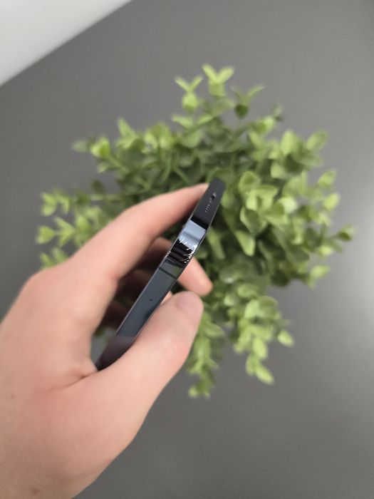 iPhone 12 Pro Max 512Gb