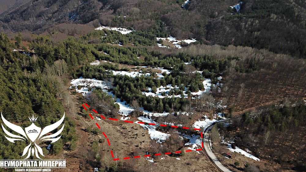 Продавам земя 5000 кв. в село Врата, местност Чуката общ.Асеновград