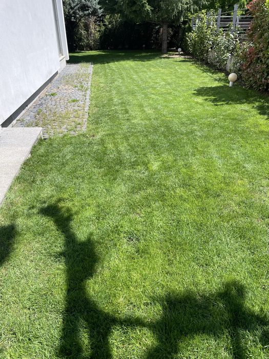 Mentenanta spati verzi Complexuri , gradini terasa private !!!