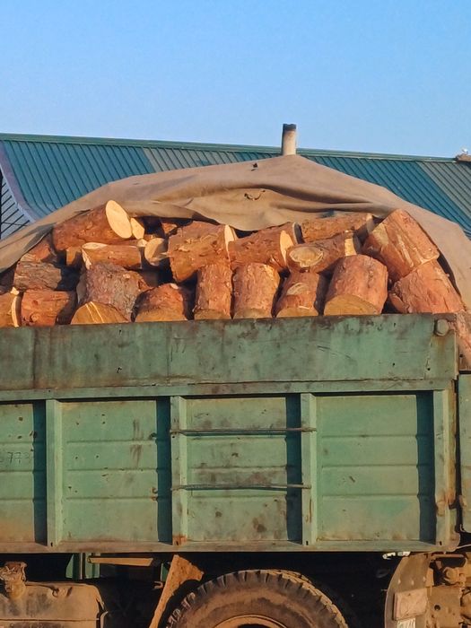 Продам дрова сосна, береза