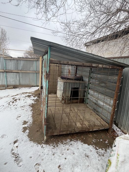 Вольер для собак