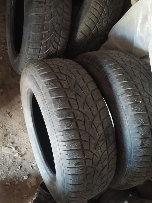 Шины зимние Dunlop