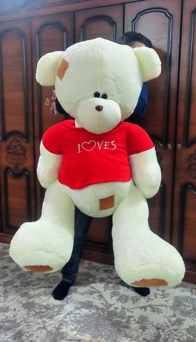 Teddi, Tedi, Teddiy, panda, yumshoq oʻyinchoqlar