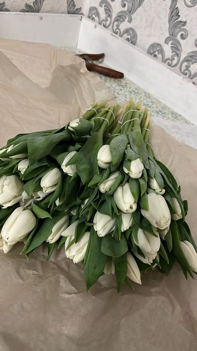 Успейте купить тюльпаны