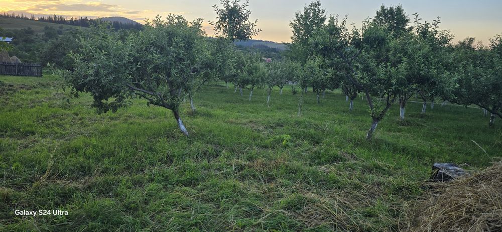 Teren Sat Filioara com Agapia