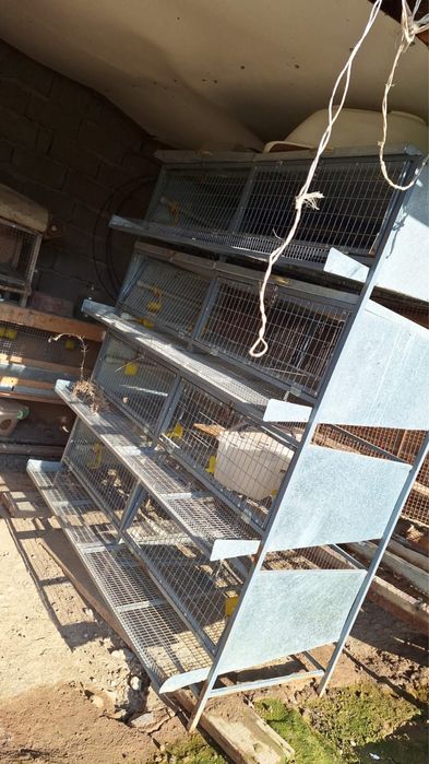 Клетка для перепелки