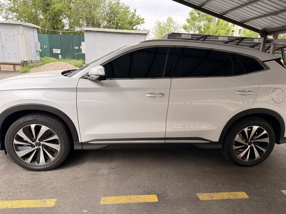 Byd chenpion honr 605