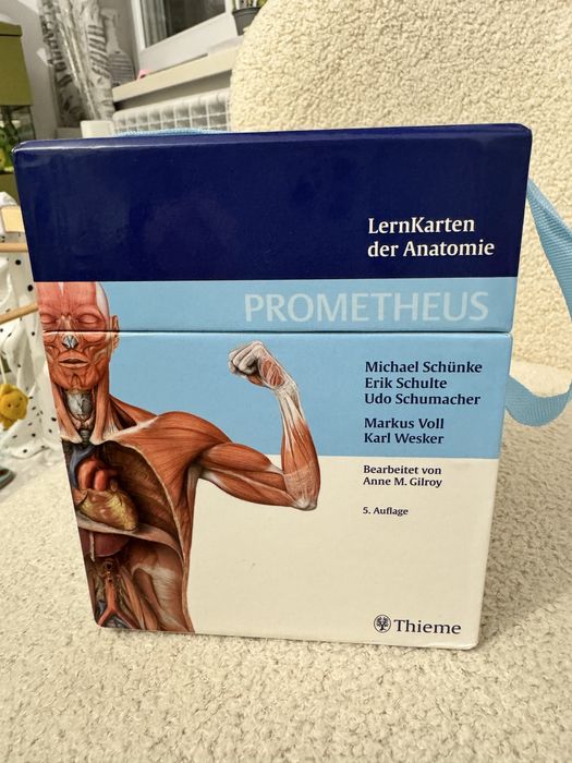 LernKarten der Anatomie / Учебни карти по анатомия