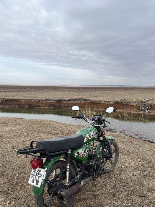 Racer 110 trophy Альфа